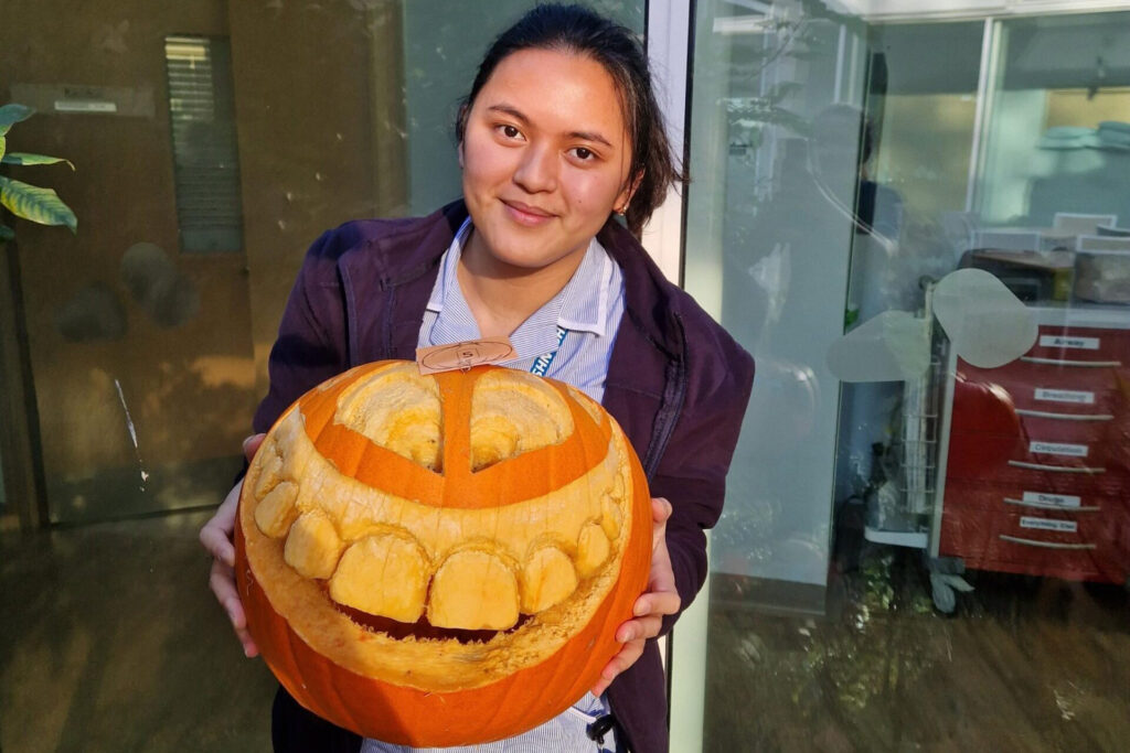 Pumpkin carving