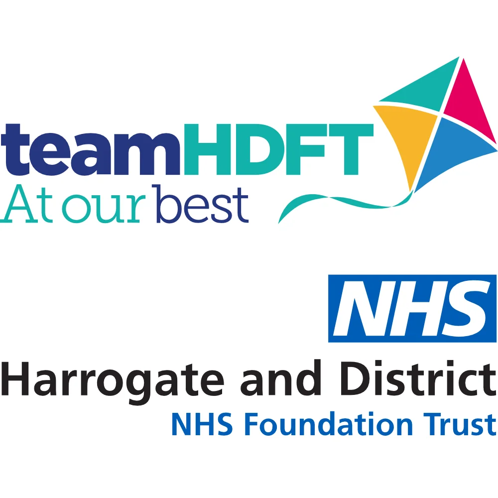 Team HDFT